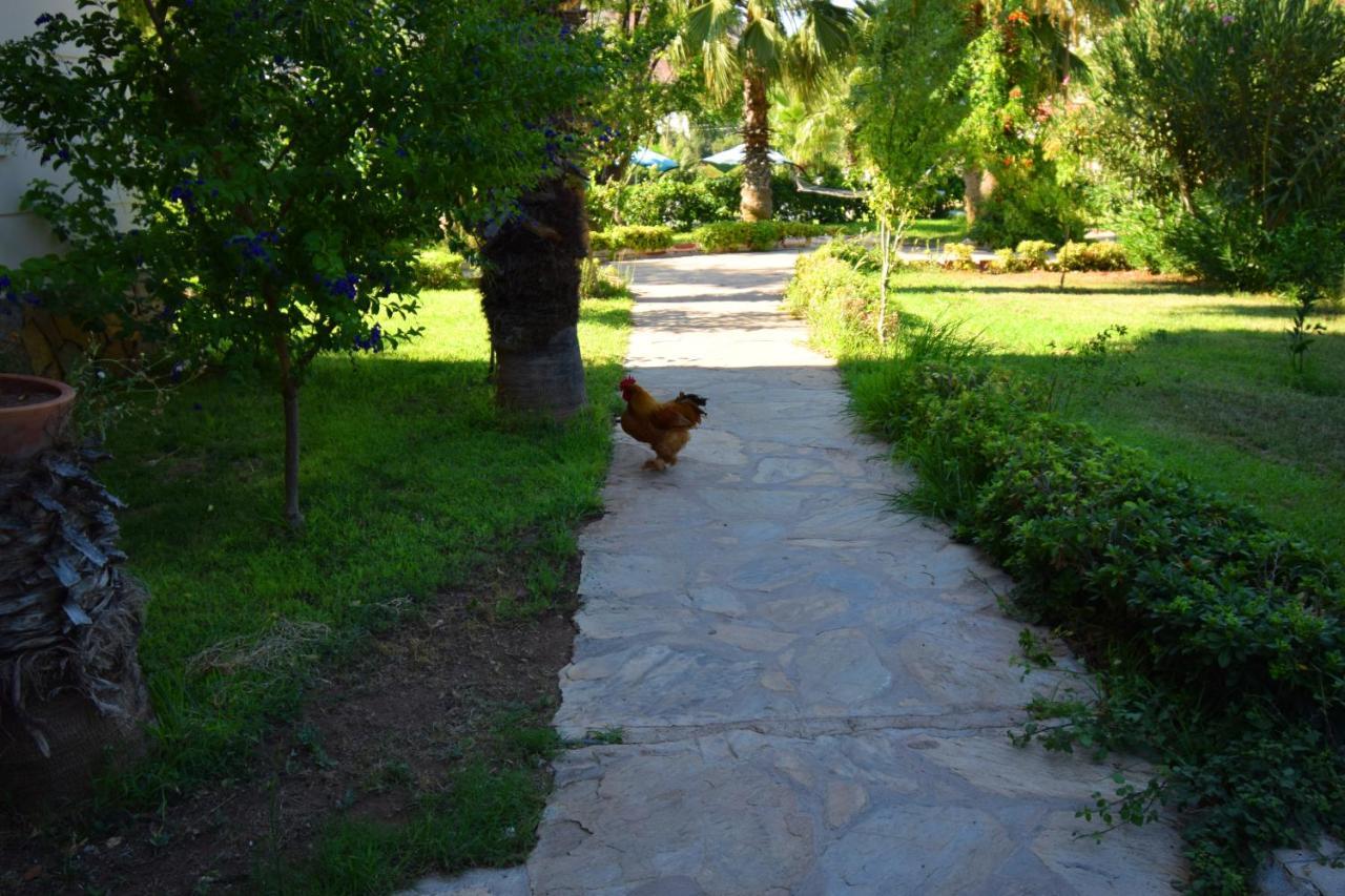 Adrasan Beach Club Ξενοδοχείο Αττάλεια Εξωτερικό φωτογραφία